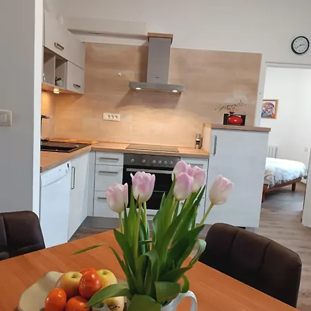 Apartment Apartma Mjrka