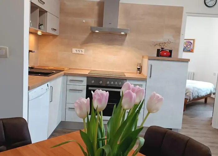 Διαμέρισμα Apartma Mjrka